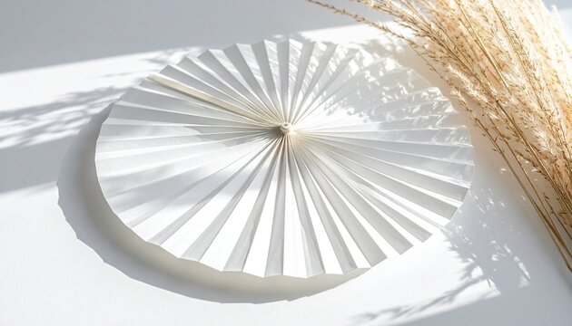 Pure Zen: A White Round Fan (Uchiwa) with a Shadow of a Grass