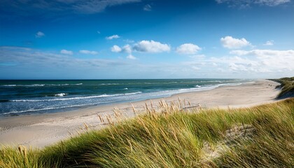 sand beach sea summer nature grass coast shore water landscape ocean vacation sky dune blue travel seascape beautiful