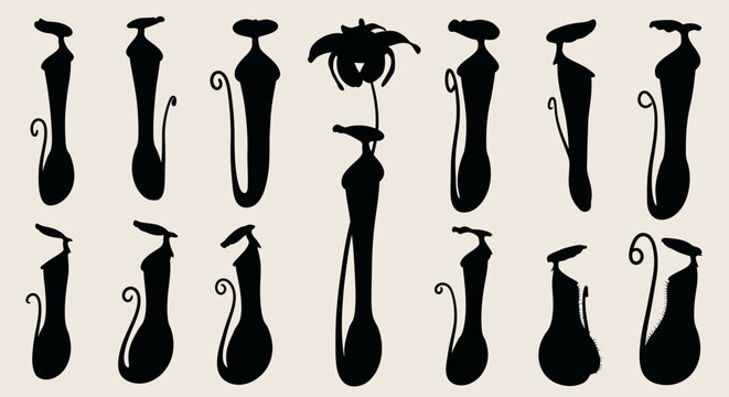 Black silhouette vector set of various pitcher plants, carnivorous tropical flora collection, isolated on white