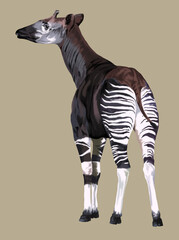 drawing okapi,rare,exotic animal,protected