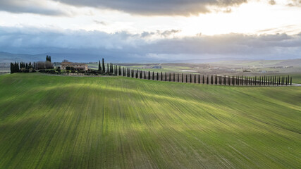 Naklejka premium Casale in Val d'Orcia con lungo viale di cipressi