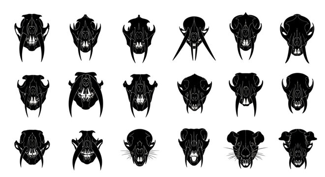 Vector animal skulls and bones set, black and white silhouette collection, isolated on white
