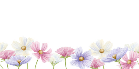 Watercolor blooming spring flowers seamless border on white. Horizontal floral repeat banner with cosmos wildflowers in pink, white and pastel purple colors for delicate botanical designs © Elena Malgina