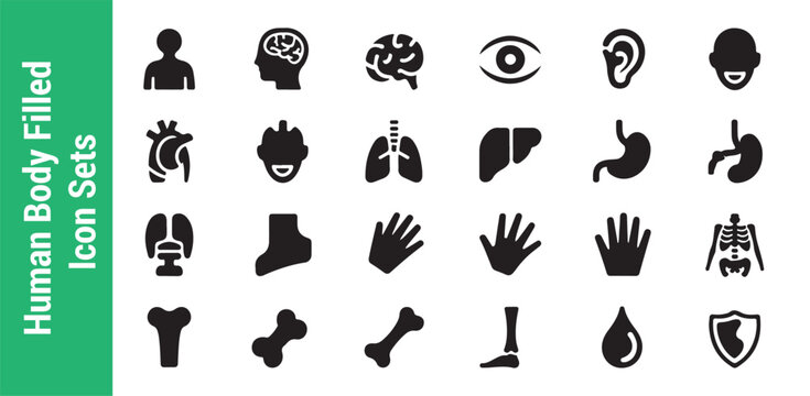 Human body filled icon pack professional solid icons for medical and health services anatomy