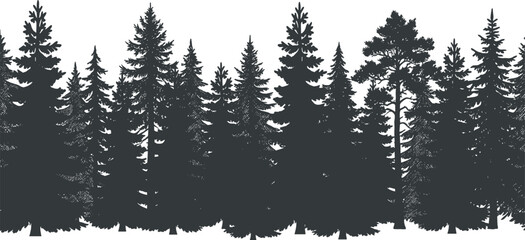 Dense Evergreen Forest Treeline Silhouette Collection Featuring Detailed Pine Fir and Spruce Trees for Nature Landscape Borders and Woodland Scenery Design Isolated on White © DesignVectz