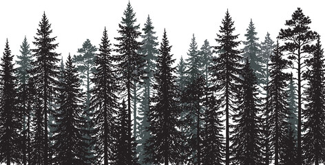 Dense Evergreen Forest Treeline Silhouette Collection Featuring Detailed Pine Fir and Spruce Trees for Nature Landscape Borders and Woodland Scenery Design Isolated on White © DesignVectz
