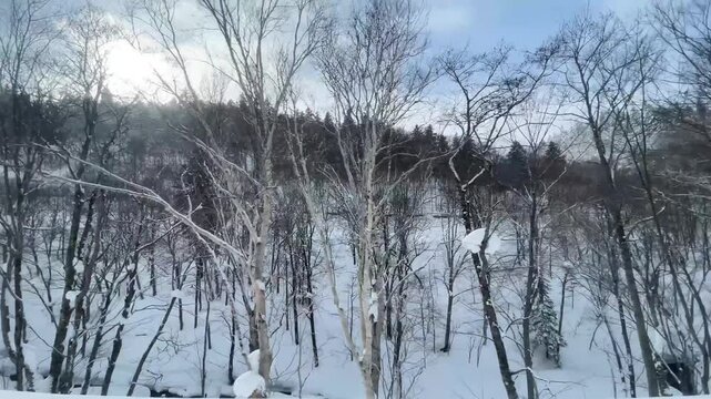一面の銀世界、北の大地を走る特急オホーツクの車窓