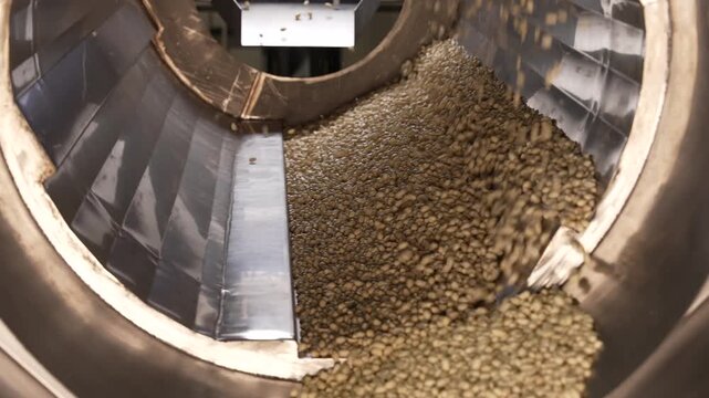 Processing and roasting of peanuts on an industrial scale. Industrial food production. Peanuts on conveyor belt in food processing plant production line