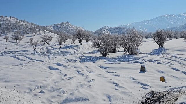 Snowy winter landscape with scattered trees, footprints and tracks in the snow, distant hills, and clear blue sky in peaceful nature.  
📍Marivan, Kurdistan 