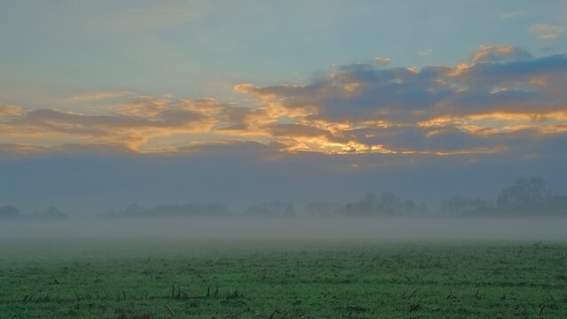 Blanket of spider webs over high flowering grass in a misty meadow under a colorful evening sky in Oude Kalevallei nature reserve, Vinderhoute, Flanders, Belgium

