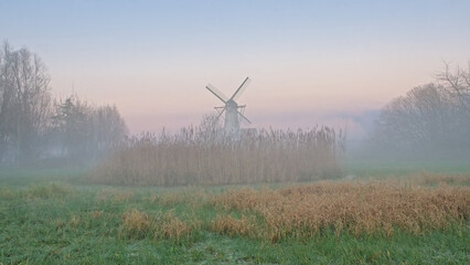 Morning mist over a marsh landscape with old windmill in Oude Kalevallei nature reserve, Vinderhoute, Belgium
