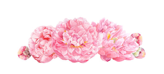 Watercolor floral border with pink peonies and buds in a balanced horizontal arrangement on white background. Romantic botanical clipart for wedding invitations, greeting cards, stationery, packaging © zzorik