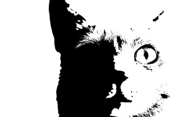 猫の顔　シルエット　スプレーアート風