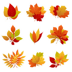 Autumn Leaf Cluster Overlay Collection with Red, Orange, Yellow, and Green Foliage Featuring Maple, Oak, and Chestnut Leaves