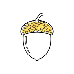 Acorn with textured cap in outlined style on white background  