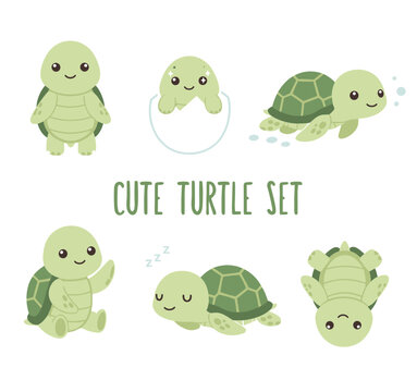 Cute green turtle character set with various poses including hatching from egg sleeping swimming and waving isolated on white background