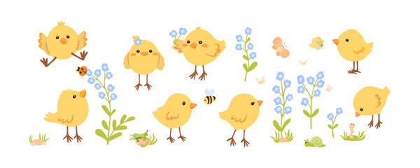 Fototapeta premium Cute yellow chickens, beetles and spring flowers. Vector illustration isolated on white. Сharming domestic birds set. Simple design elements collection.