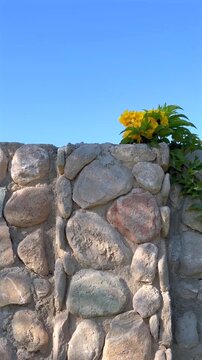 Peaceful Outdoor Setting. Vivid Garden Scene Under Sky. Serene Courtyard With Flowering Stone Wall Scene. Tranquil Garden View Showcasing Aged Stone Wall And Blooming Flowers