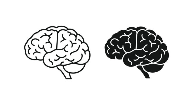 A simple illustration depicts two views of a human brain one with shading and one solid black