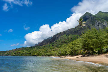 Anaho Bay and beach with palm trees, Nuku Hiva, French Polynesia