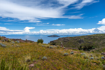 Terraced fields on Amantani Island overlooking Lake Titicaca, Peru