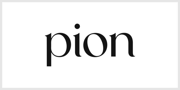 Pion Word in Classic Black Serif Font on Clean White Background