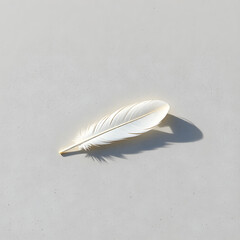 Single feather resting on smooth granite slab