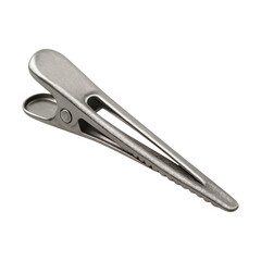 Fototapeta premium PNG Metallic hair clip accessory