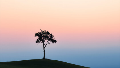 Silhouette of a single tree at dawn on a hill