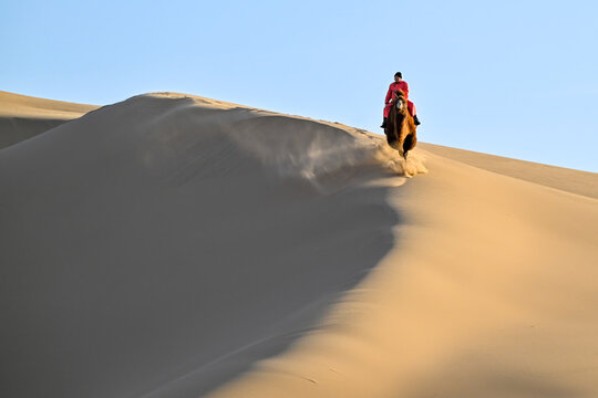 Nomadic rider on Bactrian camel crossing sand dune in Gobi Desert Mongolia