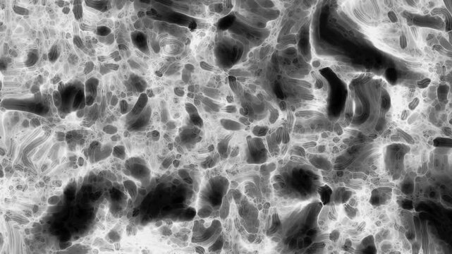 Science Medical Research Microscope Cells View Background Loop
Abstract background with microscopic view of cellular patterns, microbes and germs for medical science and research movie