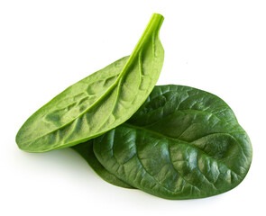 Flying Spinach isolated. Fresh Spinach leaf&nbsp;on white background. Baby Espinach leaves. Package design element