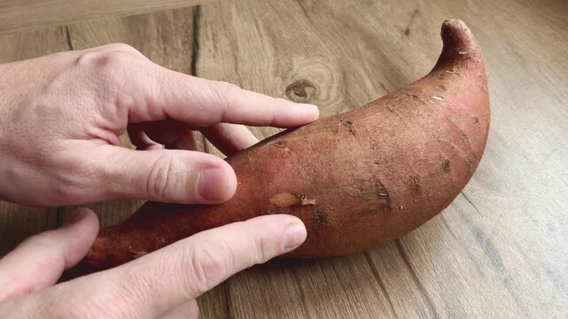 Human hands presenting sweet potatoes indoors