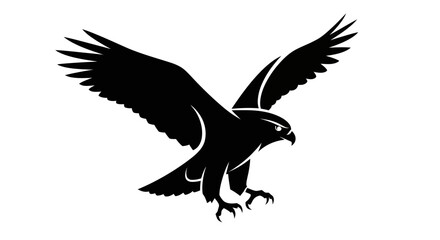 Obraz premium Adobe Illustrator Artwork