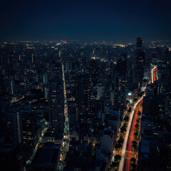 Fototapeta premium City Night Skyline