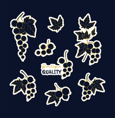 Luxury Golden Currant Sticker Pack. Elegant Gold Berry Branches, Leaves Set. Isolated Botanical Decals with Navy Blue Background and White Offset for Premium Packaging, Design. Vector illustration