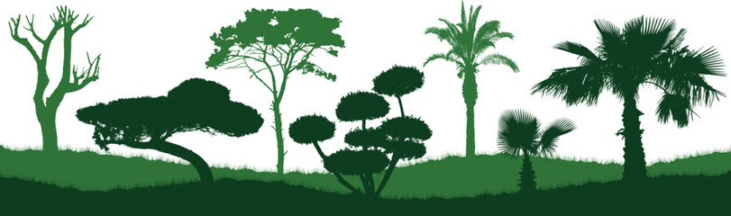Tree silhouettes creating horizontal natural landscape banner. Diverse tree and palm tree silhouettes standing on green hills, forming an abstract landscape. Vector illustration