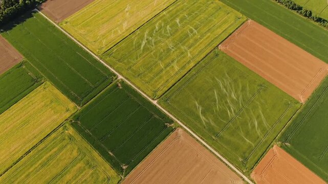 Aerial view photo of agricultural patchwork fields with green and yellow crop patterns for farming and sustainability advertising