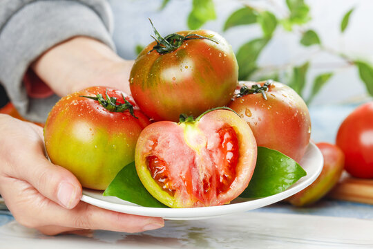 Fresh Heirloom Tomatoes on Plate with Water Droplets - Organic Garden Vegetables