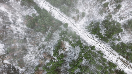 Aerial winter forest texture for nature themes © AlexGo