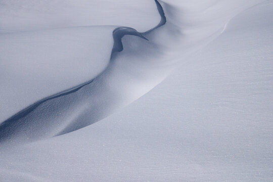 Neve