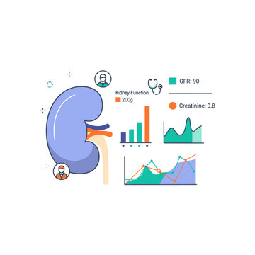 Kidney health analysis with charts and graphs, GFR and Creatinine levels
