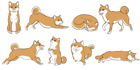 Obraz premium shiba inu, dog, puppy, japanese breed, akita, pet, animal, illustration, vector, line art, set, collection, poses, stretching, sleeping, jumping, sitting, running, playful, happy, cute, minimal, flat 