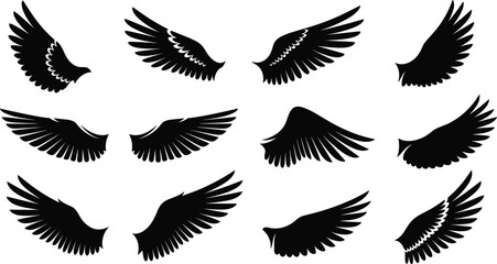 Obraz premium Flying bird wings silhouette collection, black feather wing set, vector illustration isolated on white background