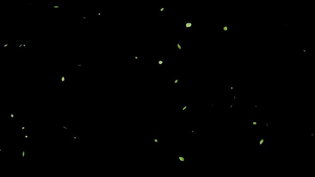 Realistic leaf fall animation, loop with alpha channel overlay. swirling green leaves in wind, organic green foliage falling down.