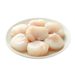 Fresh raw scallops arranged on a white plate, highlighting their natural sheen and delicate texture for culinary presentation