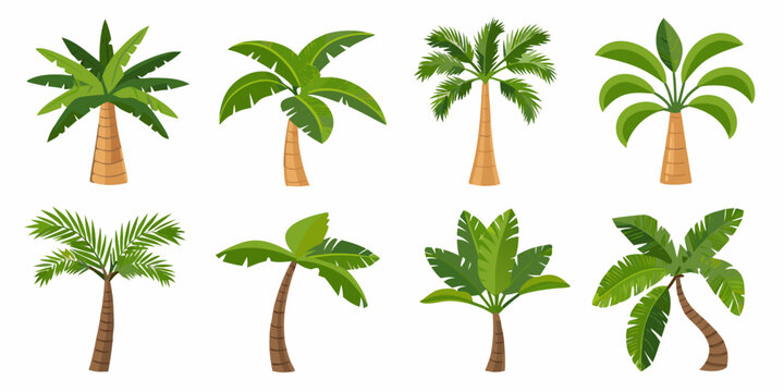 Collection of various stylized palm tree illustrations on white background