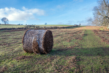 hay bales in the field © PerErik