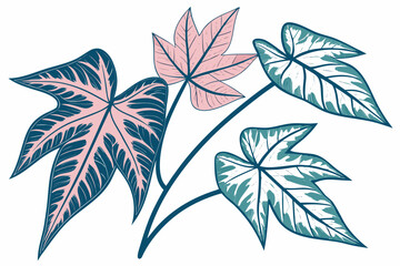 A colorful vector illustration of a plant with large leaves in shades of pink and green on a white background