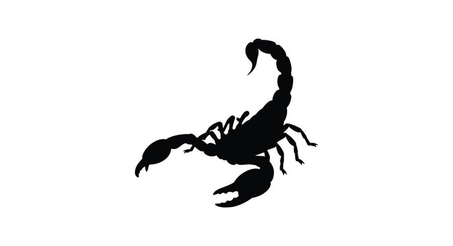 A stark black silhouette of a scorpion is prominently displayed against a clean bright white background high quality